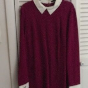 Cynthia Steffe Peter Pan Collar Dress New With Tag